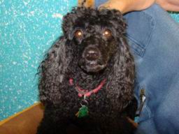 Resize of DSC01006.JPG